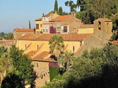 183 D24 BORMES LES MIMOSAS 2_000009